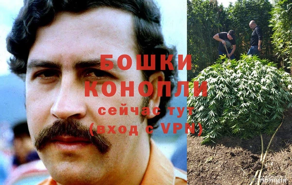 Альфа ПВП Елизово