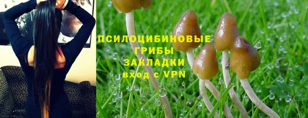 Альфа ПВП Елизово