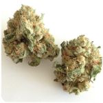 Шишки "White Widow"  (Белая вдова)  Гидропоника -  Бошка VHQ в Зее